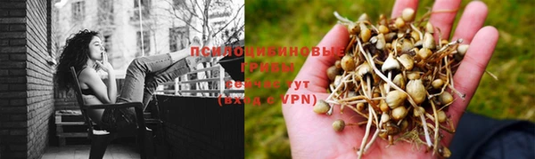 ПСИЛОЦИБИНОВЫЕ ГРИБЫ Армянск